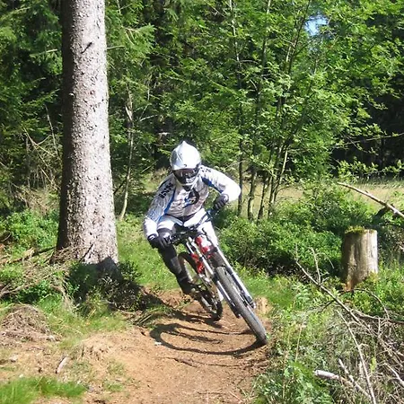 Ausblick * 고슬라르