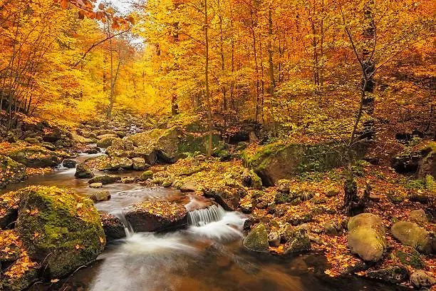 アパート Ausblick *